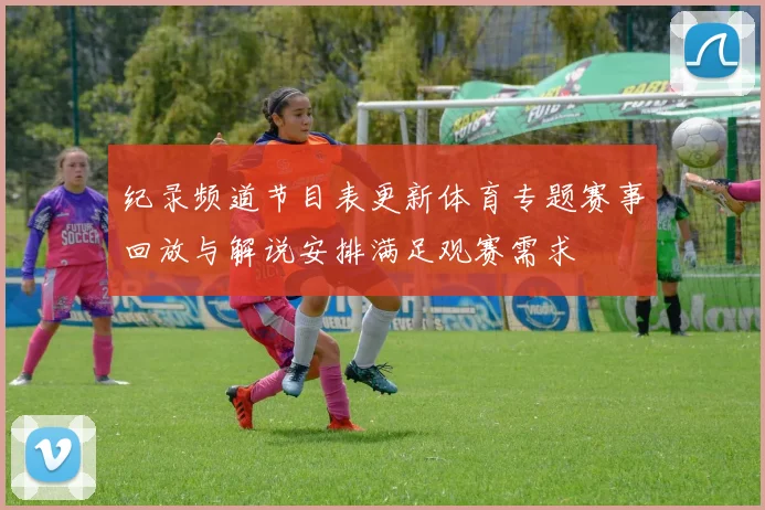 纪录频道节目表更新体育专题赛事回放与解说安排满足观赛需求