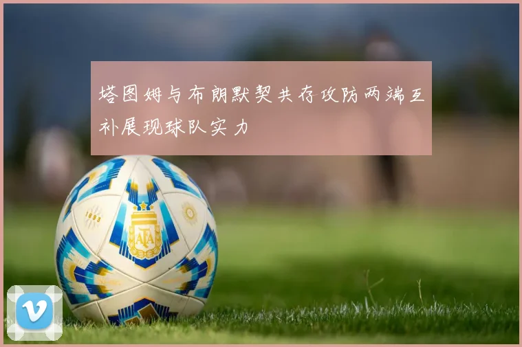 塔图姆与布朗默契共存攻防两端互补展现球队实力